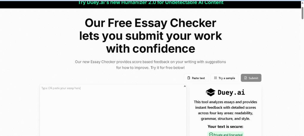 Essay Checker