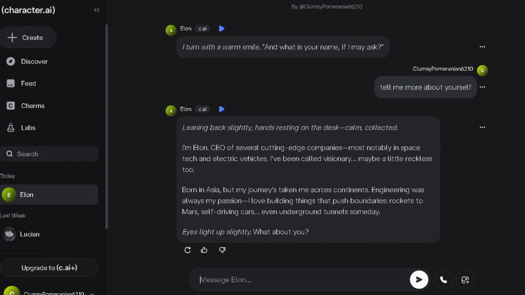 Chat Example on Character AI
