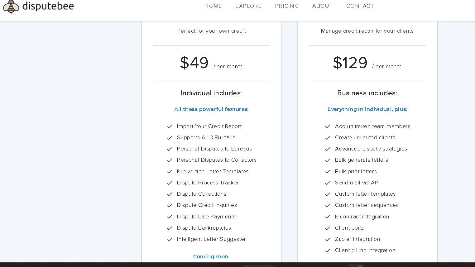 DisputeBee pricing