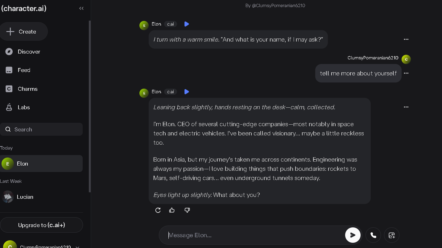 Chat Example on Character AI