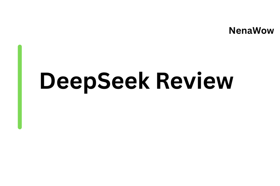 DeepSeek Review