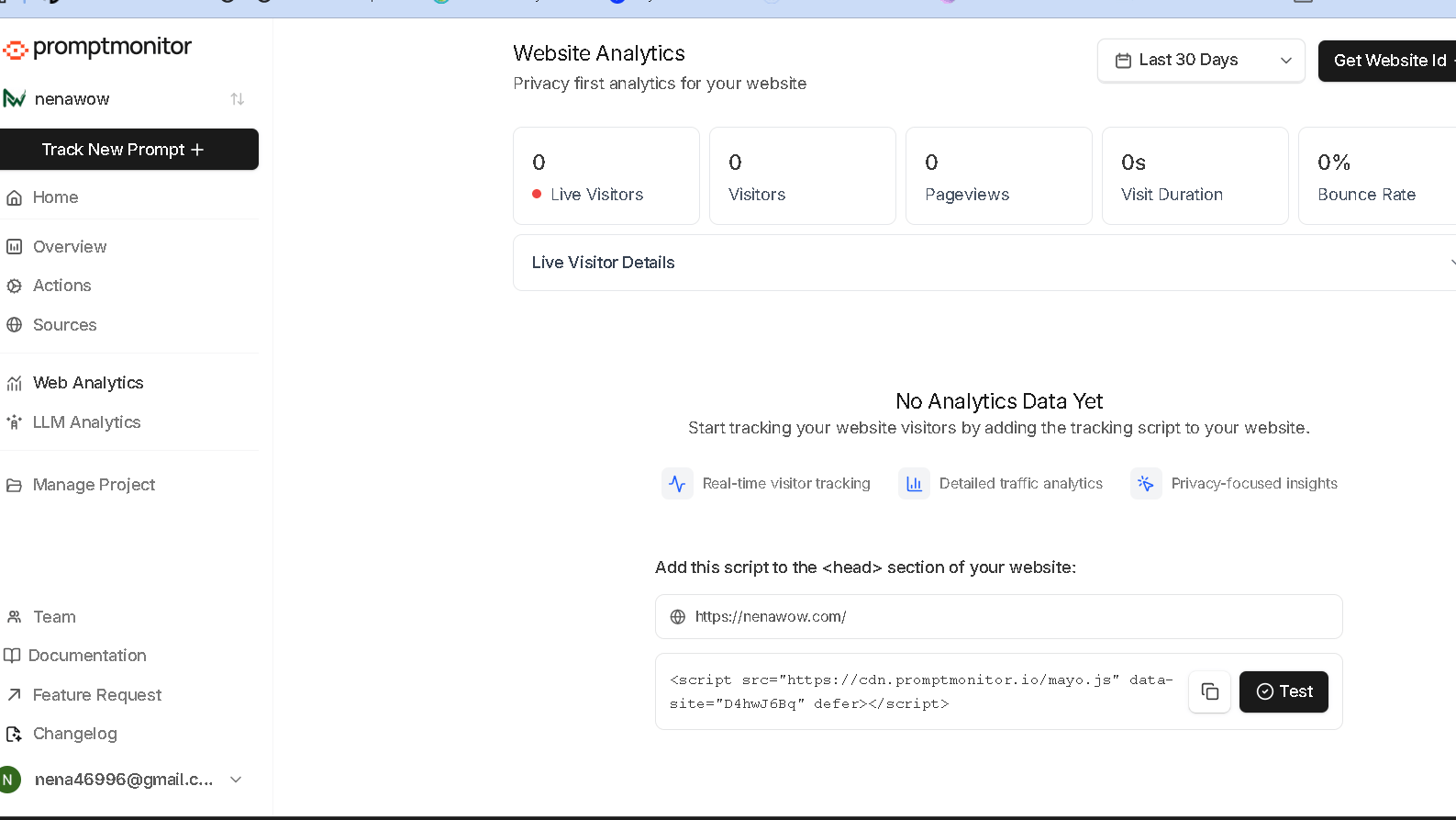 PromptMonitor Website Analytics dashboard showing visitor metrics, pageviews, bounce rate, and website tracking script installation.